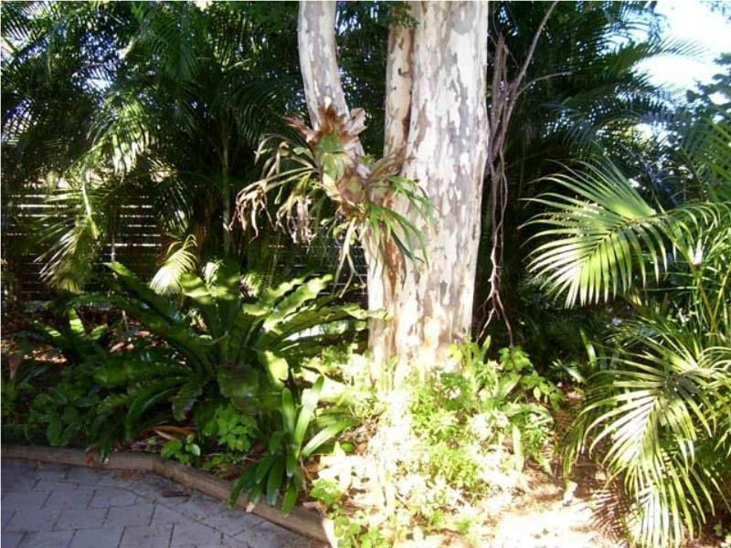 23 Scotts Road, Macleay Island QLD 4184
