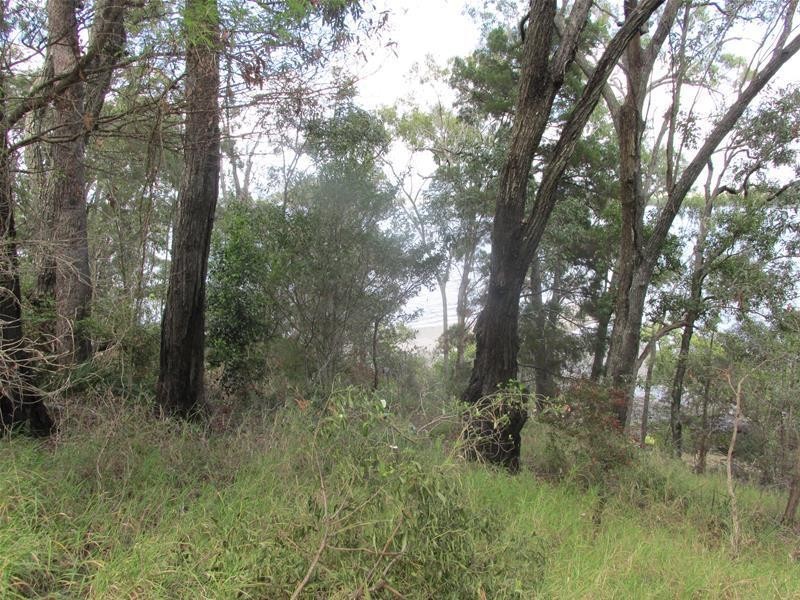 17 Cliff Terrace, Macleay Island QLD 4184