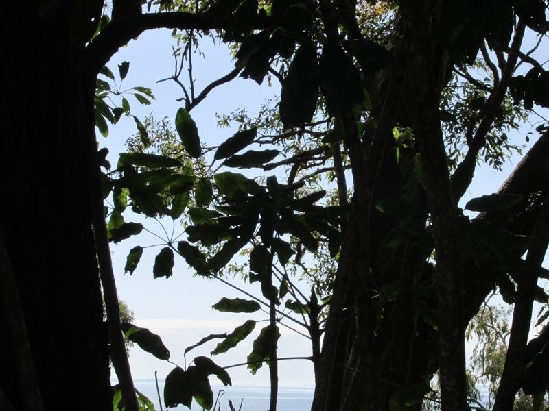 38 Blue Water Crescent, Macleay Island QLD 4184