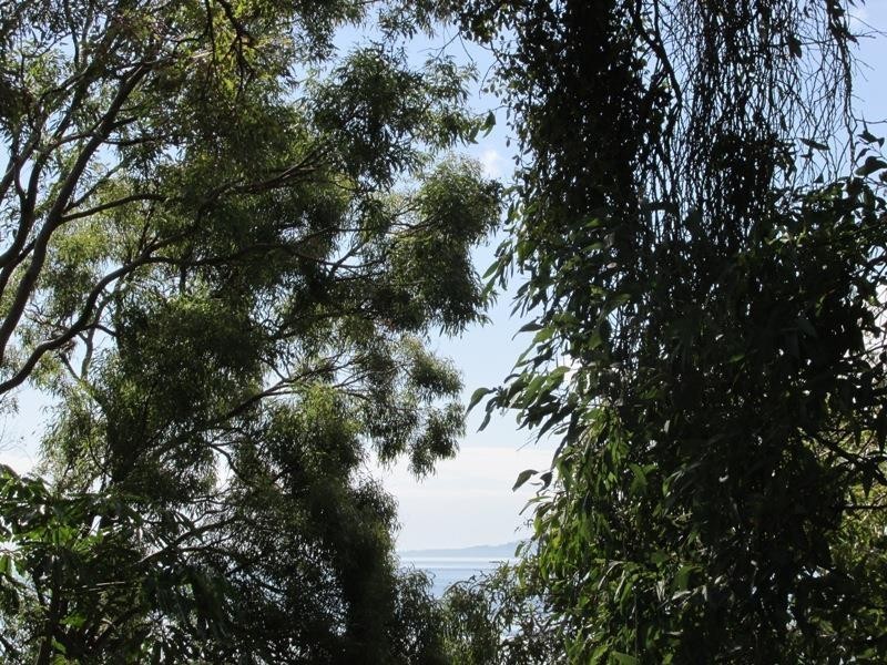 38 Blue Water Crescent, Macleay Island QLD 4184