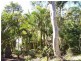 21 Ashton Street, Macleay Island QLD 4184