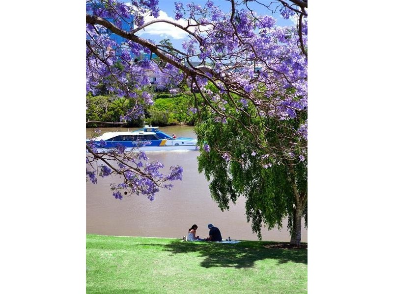 2405/30 Tondara Lane, West End QLD 4101