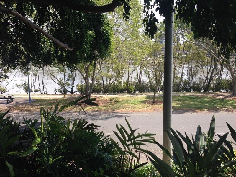 253/10 Pidgeon Close, West End QLD 4101