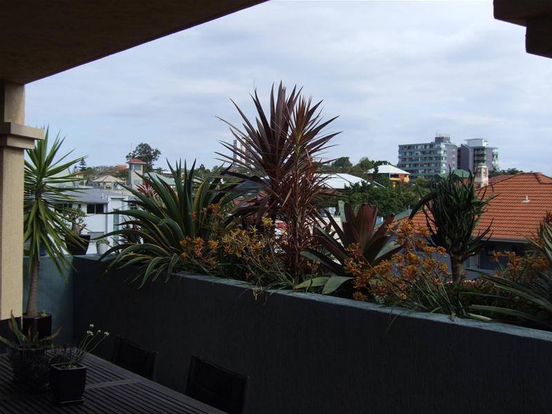 2/60 Vulture Street, West End QLD 4101