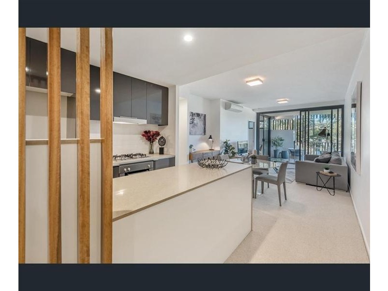 213/21 Peter Doherty Street, Dutton Park QLD 4102