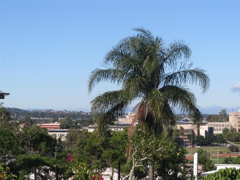 103 Dornoch Terrace, Highgate Hill QLD 4101