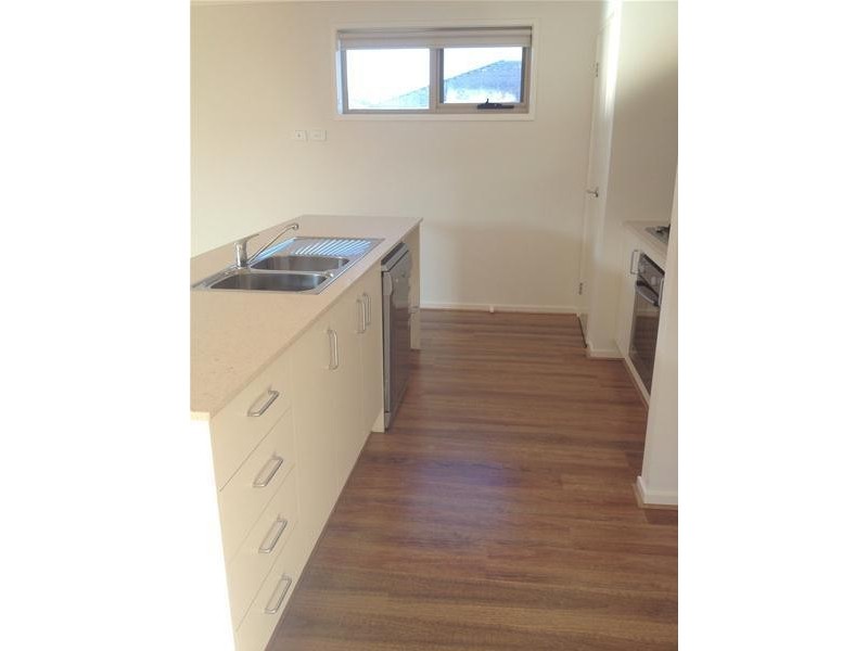 19 Treefern Street, Leopold VIC 3224