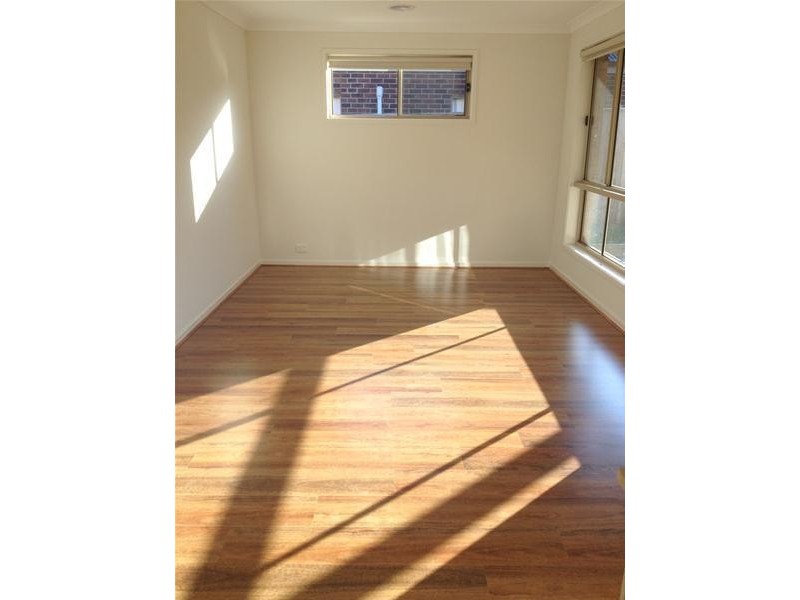 19 Treefern Street, Leopold VIC 3224