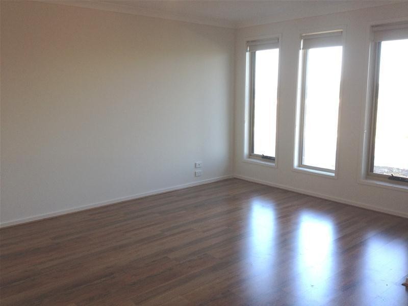 19 Treefern Street, Leopold VIC 3224