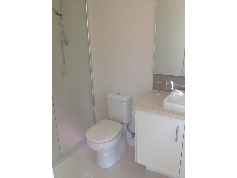 19 Treefern Street, Leopold VIC 3224