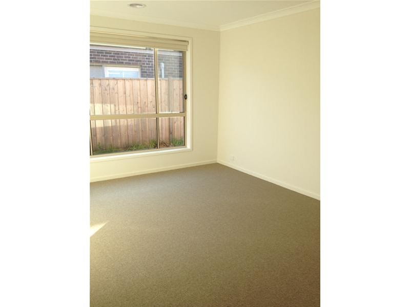 19 Treefern Street, Leopold VIC 3224