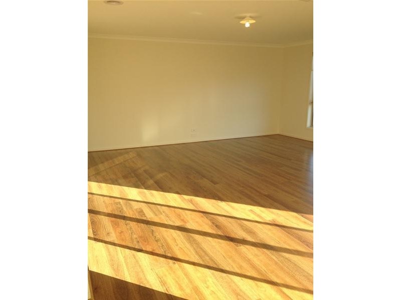 19 Treefern Street, Leopold VIC 3224