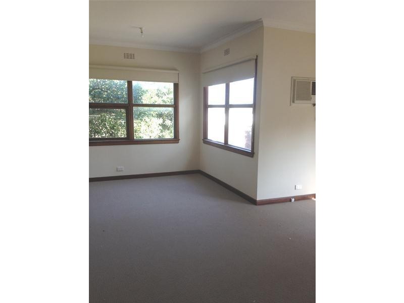 3 Atkins Street, Newcomb VIC 3219