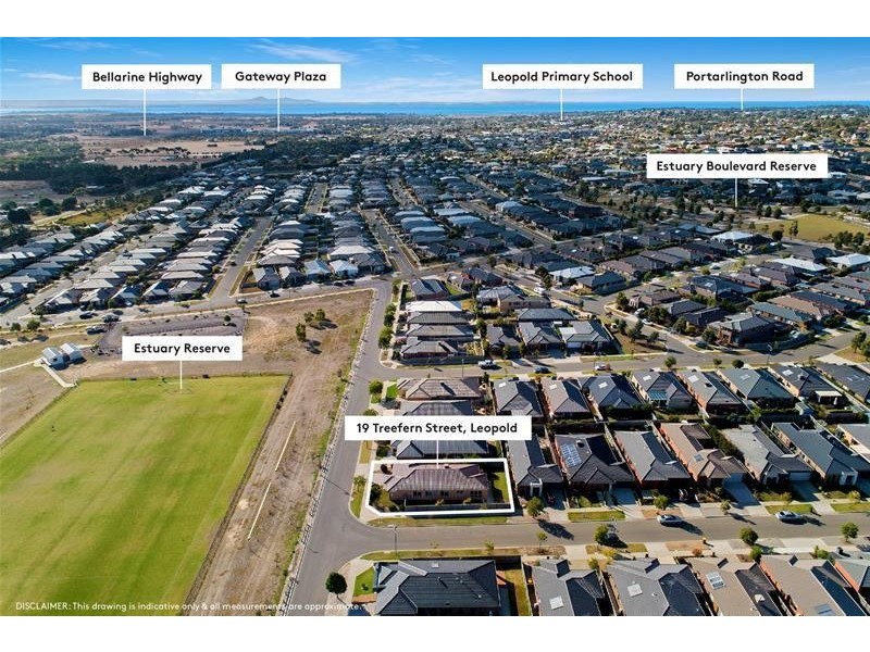 19 Treefern Street, Leopold VIC 3224