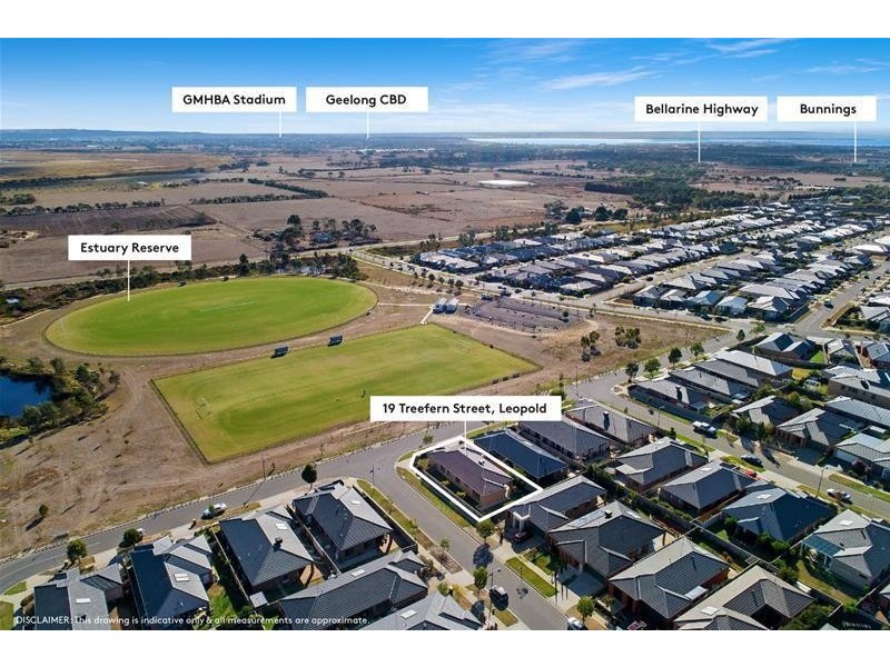 19 Treefern Street, Leopold VIC 3224