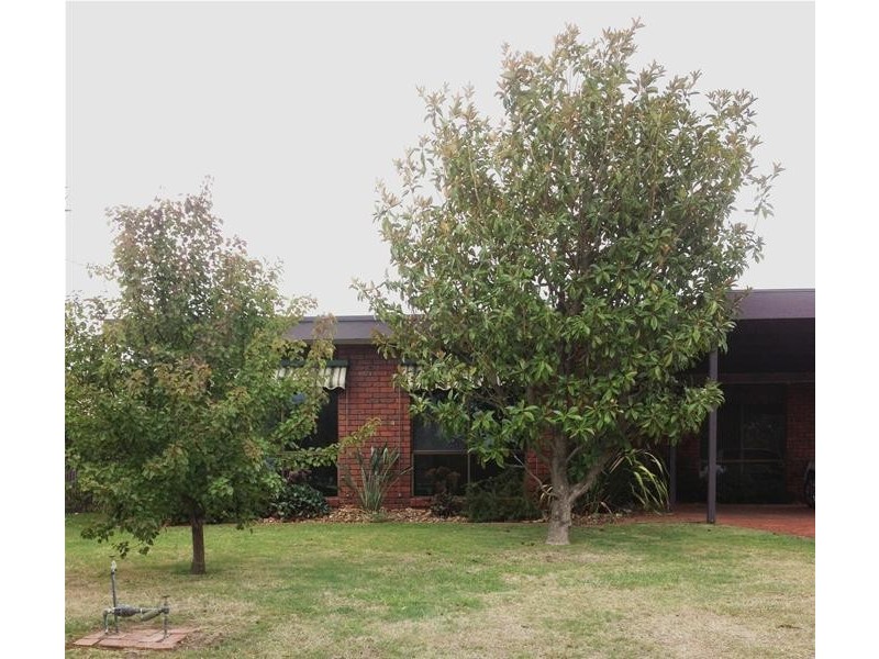 3 Mokera Avenue, Clifton Springs VIC 3222