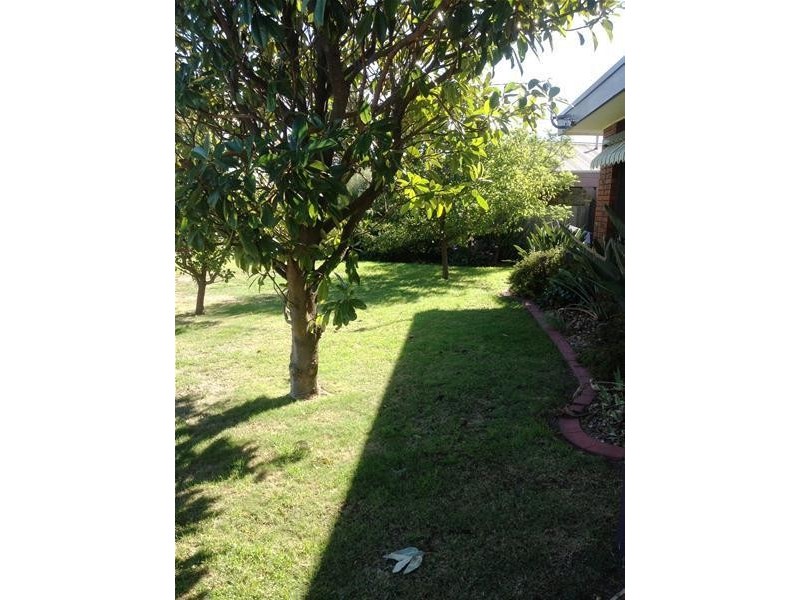 3 Mokera Avenue, Clifton Springs VIC 3222