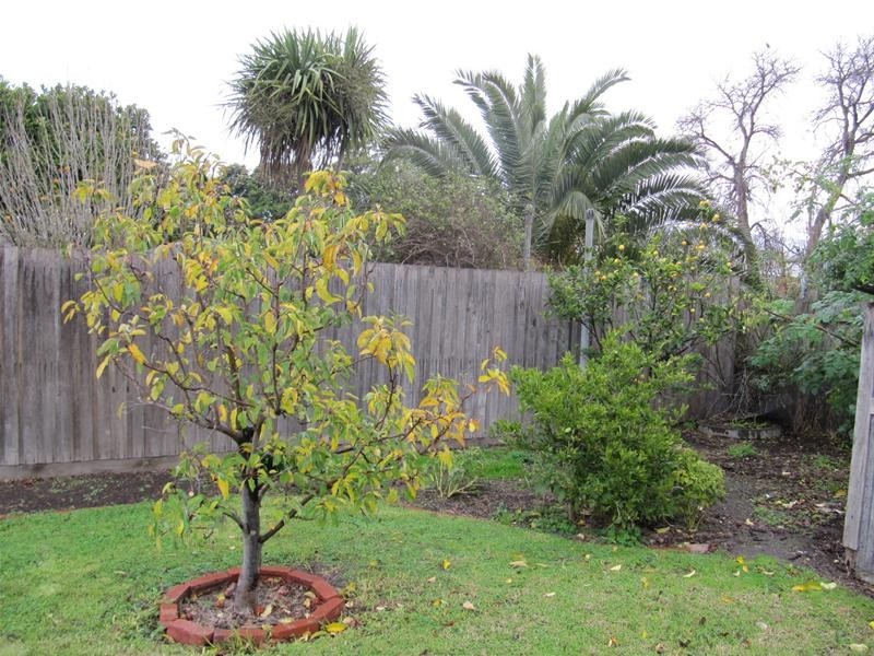 8 Lindon Street, East Geelong VIC 3219