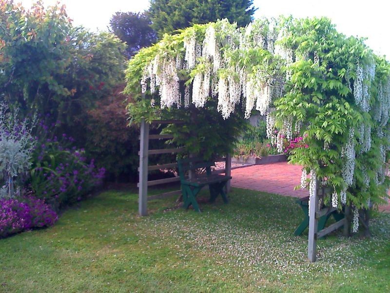 47 Christies Road, Leopold VIC 3224