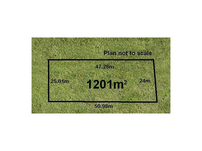 13 The Crescent, Leopold VIC 3224