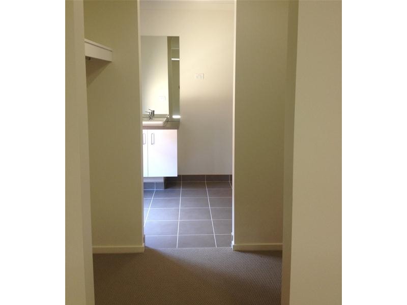 19 Timberland Street, Leopold VIC 3224