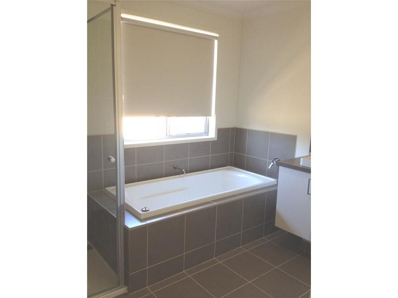 19 Timberland Street, Leopold VIC 3224