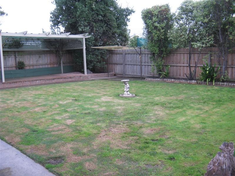 55 Allanvale Avenue, Leopold VIC 3224