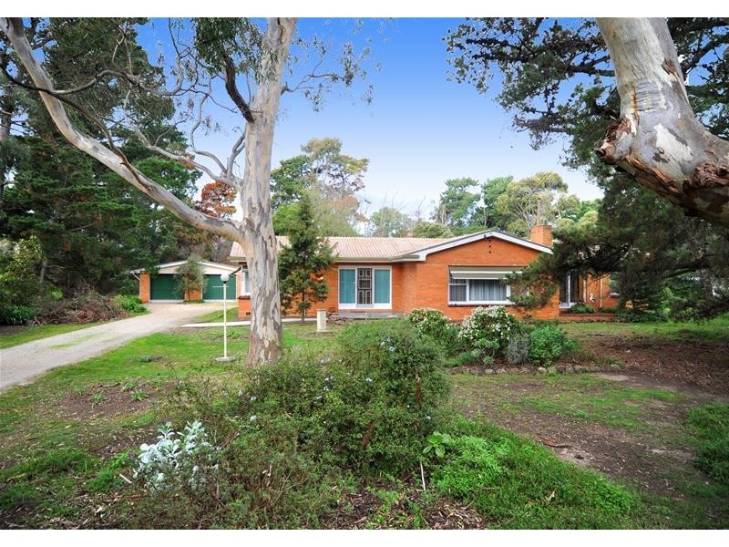 5 Coulter Street, Newcomb VIC 3219