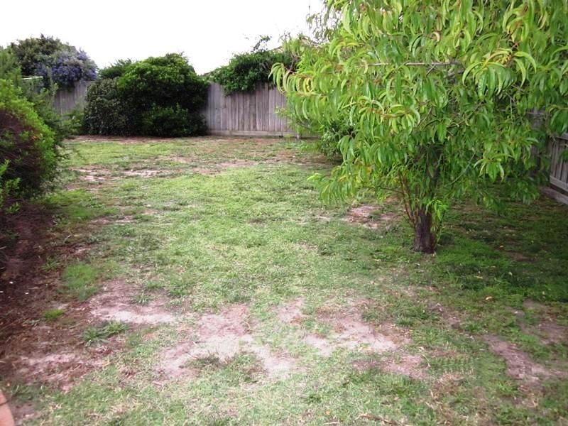 10 Pindari Court, Leopold VIC 3224