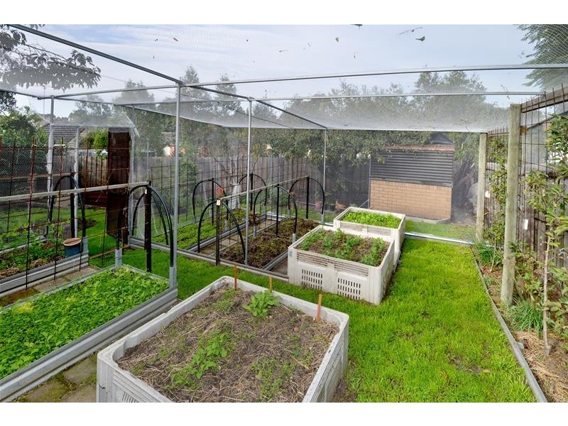 19 Ferndale Parade, Highton VIC 3216