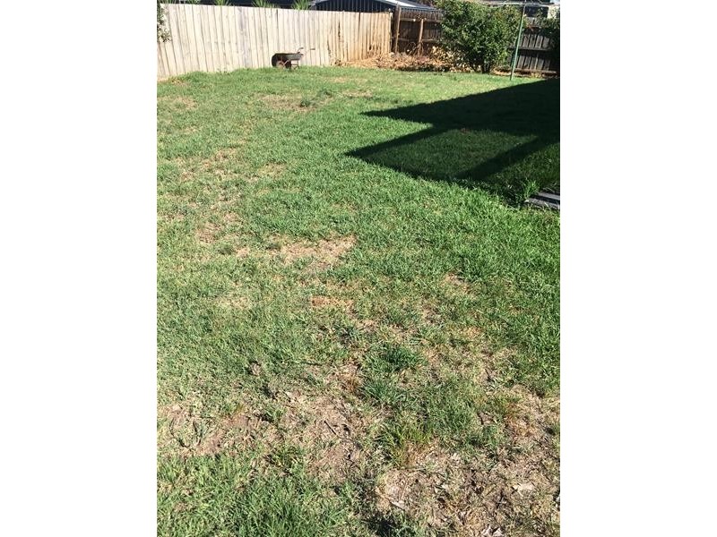 71 Burdoo Drive, Grovedale VIC 3216