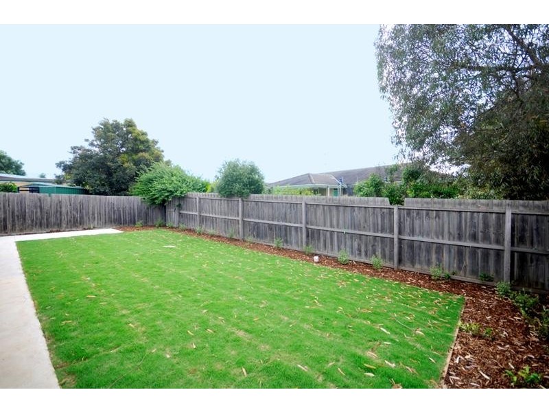 17 Allanvale Avenue, Leopold VIC 3224