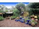 111 Collins  Street, Drysdale VIC 3222