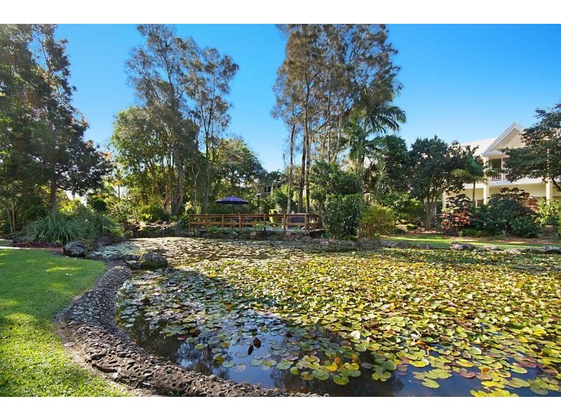 53/56 Guineas Creek Road, Currumbin Waters QLD 4223