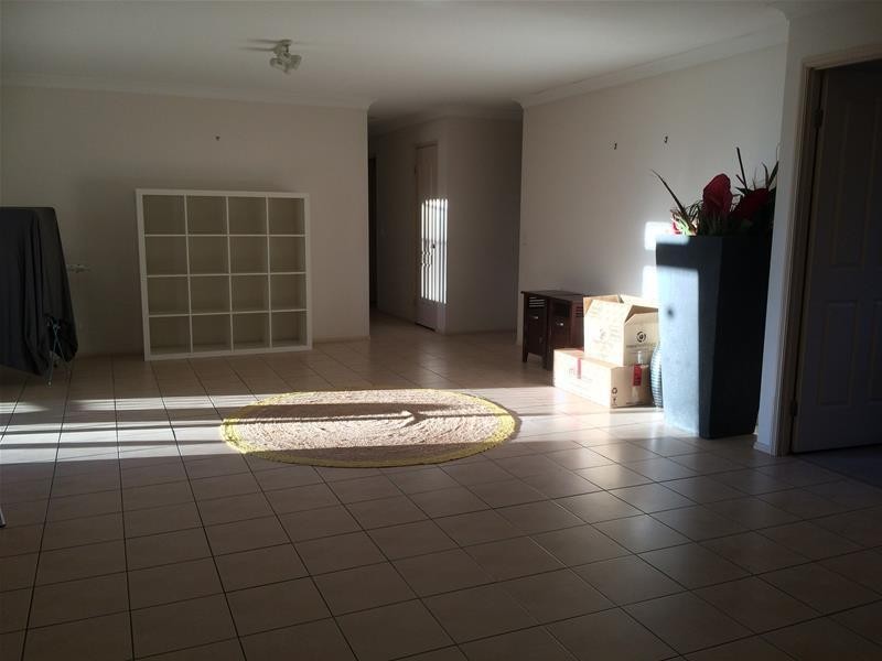 5 Brushbox Street, Elanora QLD 4221