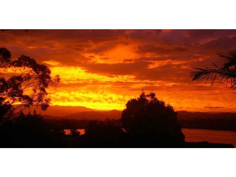 45 Angelica Street, Elanora QLD 4221