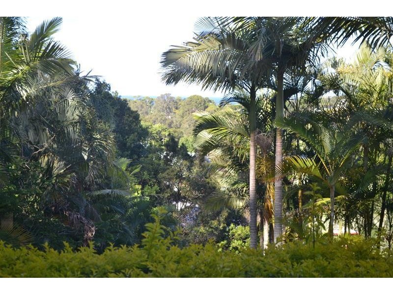 84 Blamey Drive, Currumbin QLD 4223