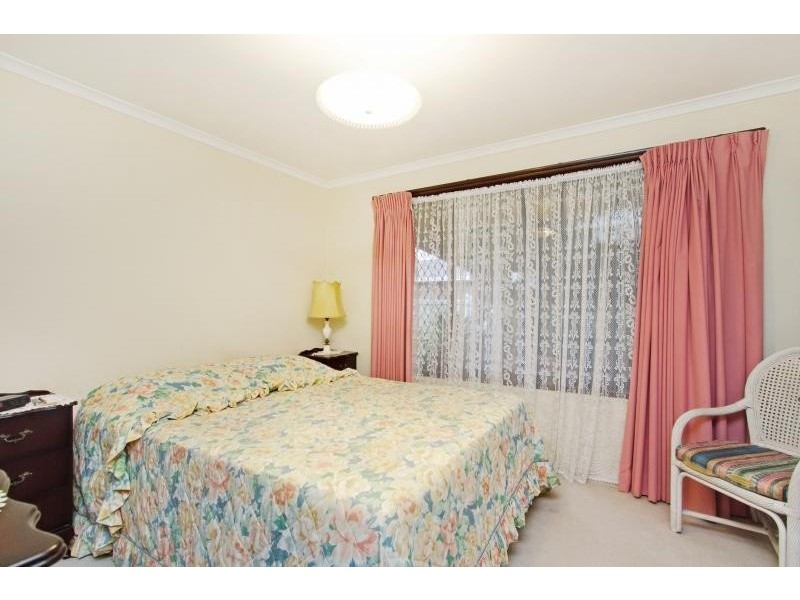 17 Sycamore Place, Palm Beach QLD 4221