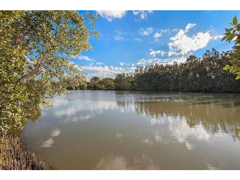 36 Tipuana Drive, Elanora QLD 4221