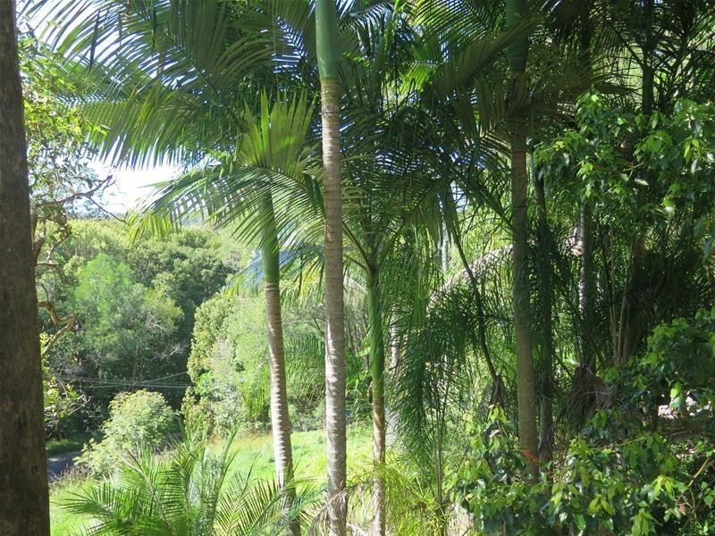 8 Pardalote Place, Currumbin Waters QLD 4223