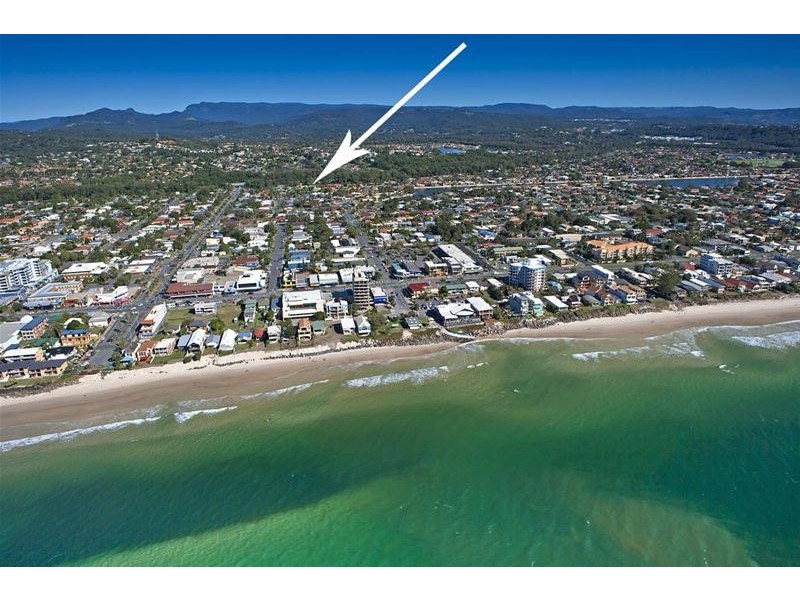 19 Colvillea Court, Palm Beach QLD 4221