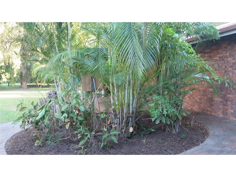 2 Jalinda Court, Currumbin Valley QLD 4223