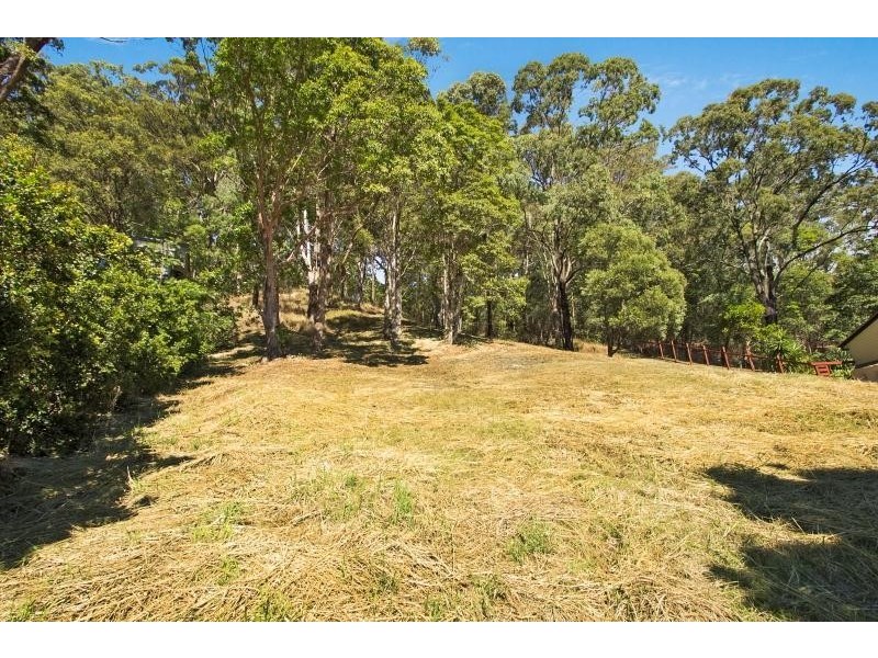 5 Austin Avenue, Currumbin Waters QLD 4223