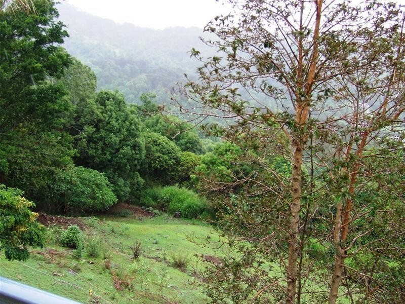 614 Trees Road, Tallebudgera QLD 4228