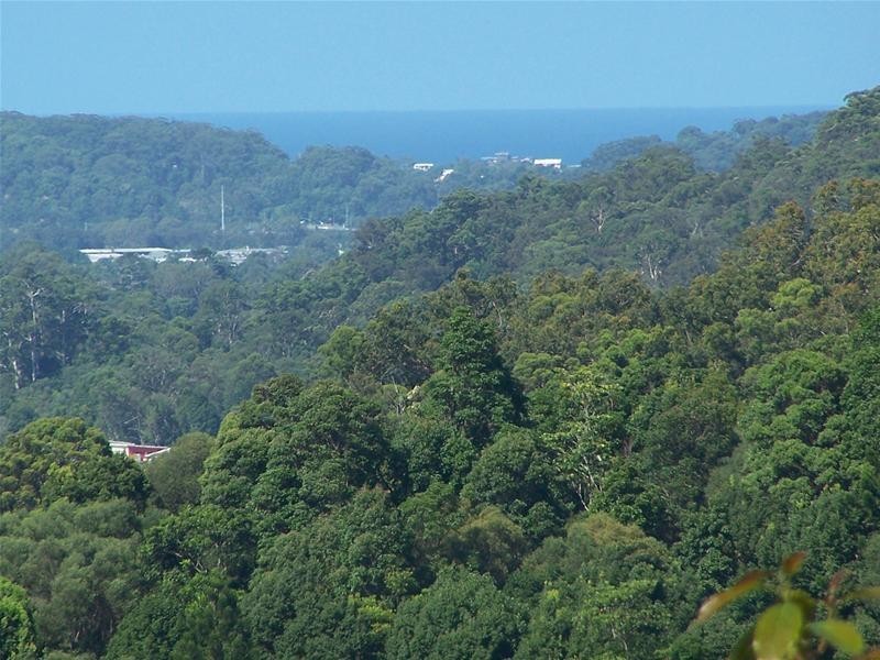 62A Tomewin Mountain Road, Currumbin Valley QLD 4223