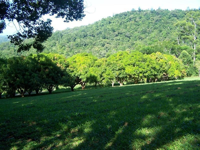 62A Tomewin Mountain Road, Currumbin Valley QLD 4223