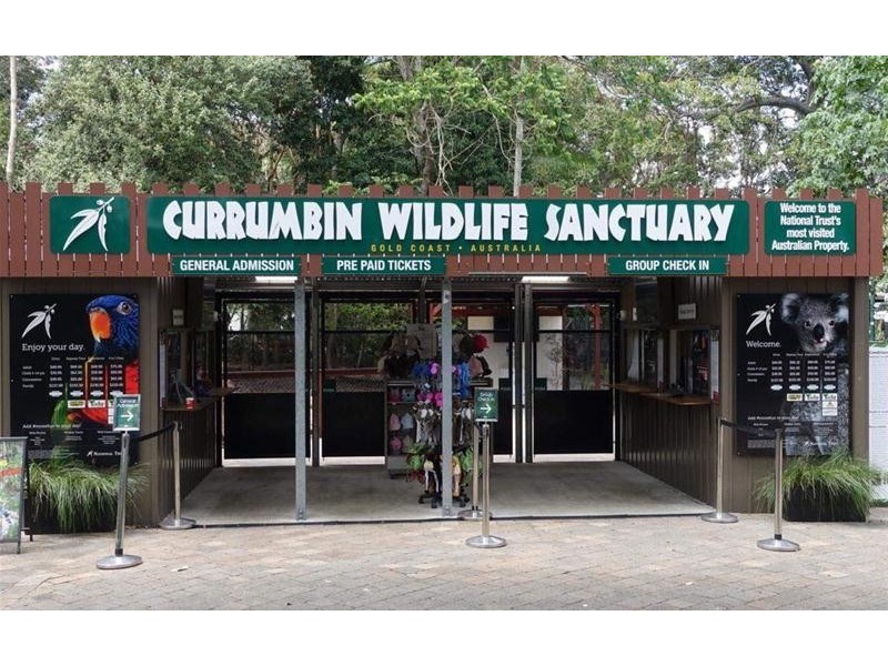 48 Teemangum Street, Currumbin QLD 4223