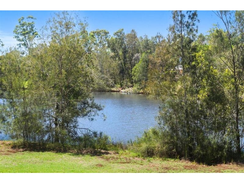 11 Hydrilla Court, Elanora QLD 4221