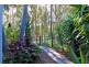 84 Ware Drive, Currumbin Waters QLD 4223