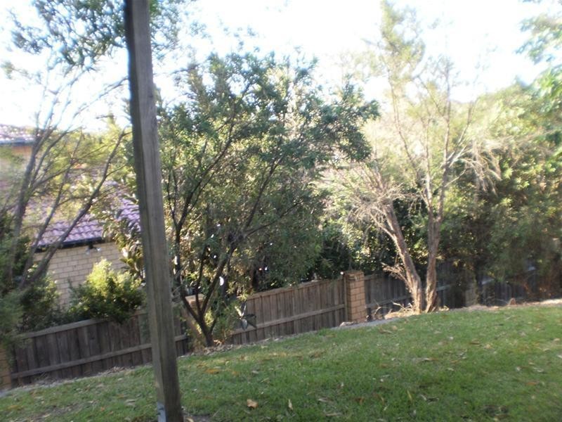 7 Brushbox Street, Elanora QLD 4221